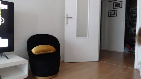METISSE26  02-06-2022